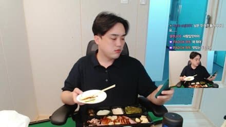 나무늘보___